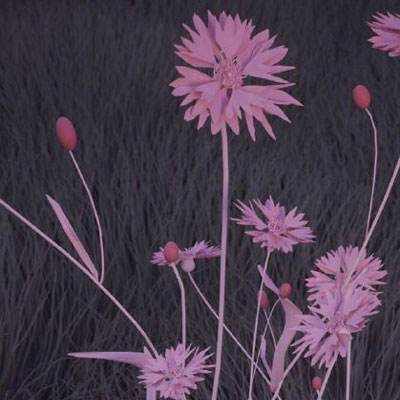 leyu·乐鱼体育app下载