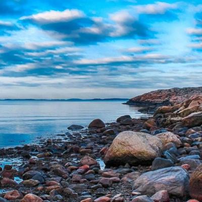 澳门4949资料免费大全