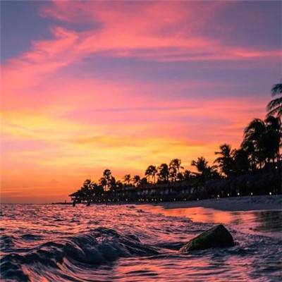 三亿体育手机app下载