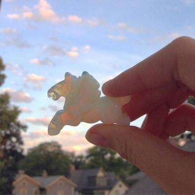 bat软件下载官方