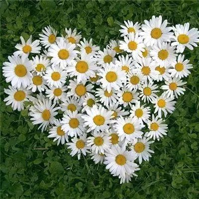 正规AG捕鱼王平台